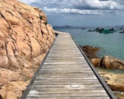 PHÚ YÊN - XỨ SỞ HOA VÀNG TRÊN CỎ XANH - QUY NHƠN - THÀNH PHỐ THI CA - 3 NGÀY 3 ĐÊM