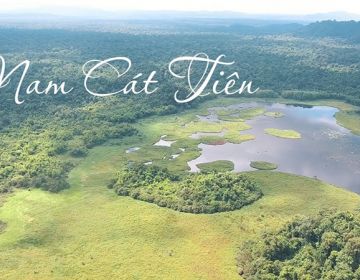 HỌC TẬP TRẢI NGHIỆM TƯỢNG ĐÀI CHIẾN THẮNG LA NGÀ CHINH PHỤC RỪNG NAM CÁT TIÊN