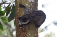 Những điểm du lịch níu chân du khách khi đến vùng sông nước Hậu Giang