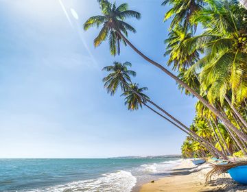 PHAN THIẾT - BIỂN XANH VẪY GỌI