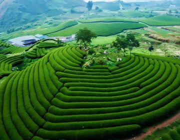 SẮC MÀU TÂY BẮC: SƠN LA - ĐIỆN BIÊN - HÀ NỘI 4 NGÀY 3 ĐÊM