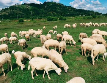 VŨNG TÀU- SẮC MÀU BIỂN XANH