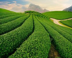 KHÁM PHÁ TÂY NGUYÊN ĐẠI NGÀN 4 NGÀY 3 ĐÊM