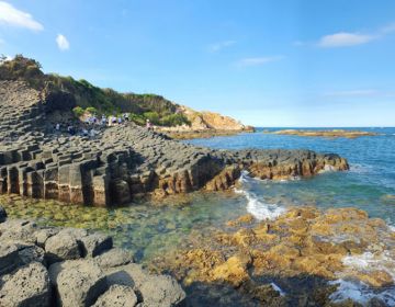 PHÚ YÊN- HOA VÀNG TRÊN CỎ XANH - QUY NHƠN THÀNH PHỐ THI CA