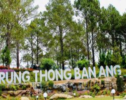 SẮC MÀU TÂY BẮC: SƠN LA - ĐIỆN BIÊN - HÀ NỘI 4 NGÀY 3 ĐÊM