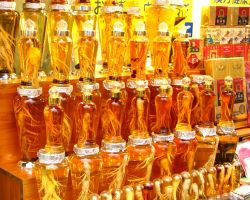 HÀN QUỐC: SEOUL - EVERLAND - ĐẢO NAMI