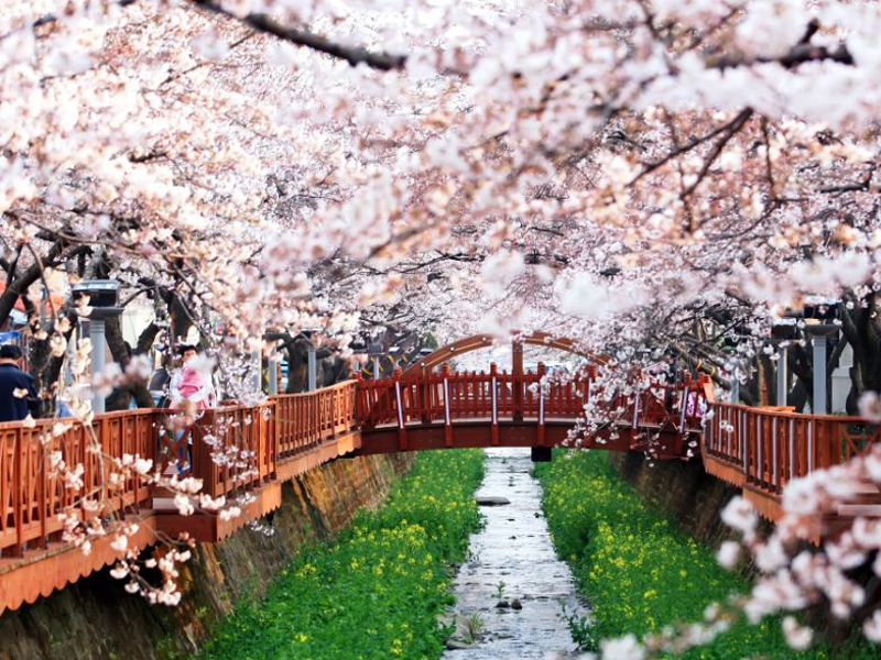 Thumbelina Zoom Image