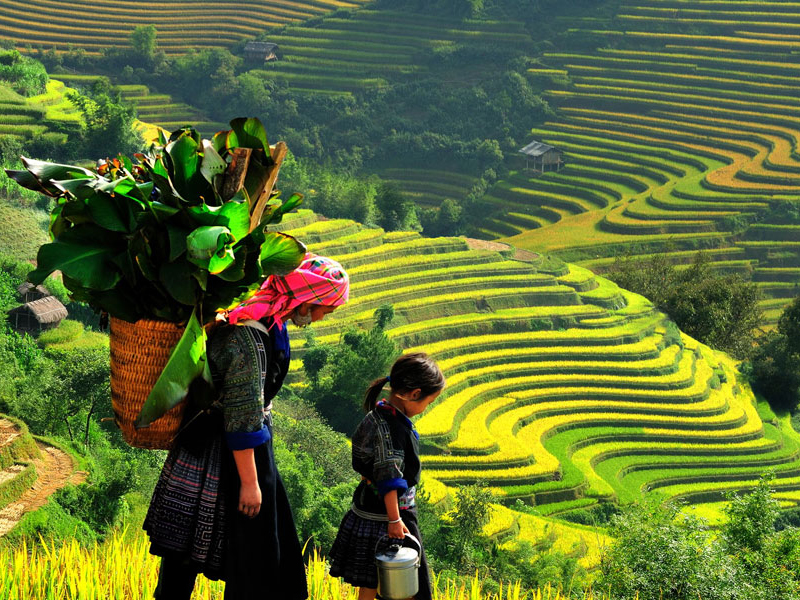 Thumbelina Zoom Image