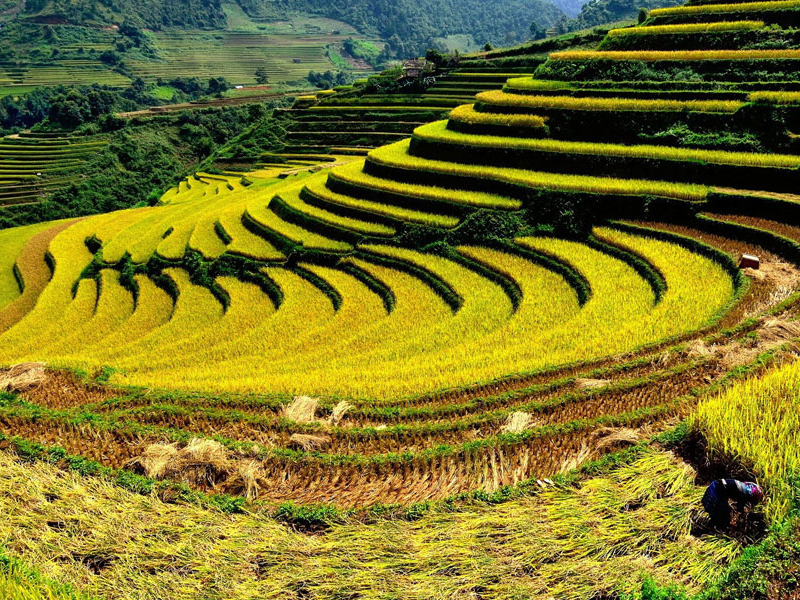 Thumbelina Zoom Image