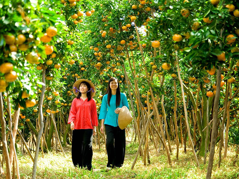 Thumbelina Zoom Image