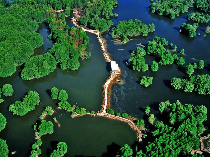 Thumbelina Zoom Image