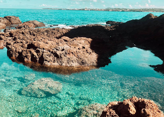 Thumbelina Zoom Image