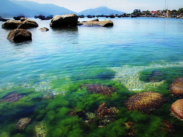 Thumbelina Zoom Image