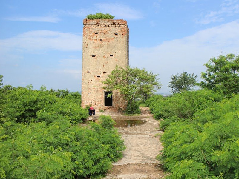 Thumbelina Zoom Image